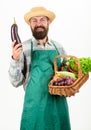 Fresh organic vegetables wicker basket. Man bearded presenting vegetables white background isolated. Hipster gardener Royalty Free Stock Photo