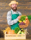 Fresh organic vegetables in wicker basket and wooden box. Farmer straw hat presenting fresh vegetables. Farmer with Royalty Free Stock Photo