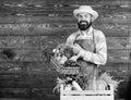 Fresh organic vegetables in wicker basket and wooden box. Man cheerful bearded farmer near vegetables wooden background Royalty Free Stock Photo