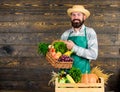 Fresh organic vegetables in wicker basket and wooden box. Man cheerful bearded farmer near vegetables wooden background Royalty Free Stock Photo