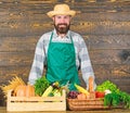 Fresh organic vegetables in wicker basket and wooden box. Man cheerful bearded farmer near vegetables wooden background Royalty Free Stock Photo