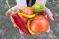 Fresh organic vegetables in women hands