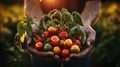 Fresh organic vegetables in wooden box in farmers hands. agriculture or harvest concept Royalty Free Stock Photo