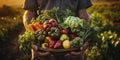 Fresh organic vegetables in wooden box in farmers hands. agriculture or harvest concept Royalty Free Stock Photo