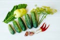 Fresh organic vegetables on a wooden table, close up. A bunch of cucumbers, yellow peppers, garlic and dill on a white wooden Royalty Free Stock Photo