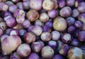 Fresh organic Violet eggplant
