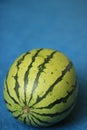 Fresh Organic Watermelon on blue background