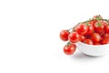 Fresh organic wet cherry tomatoes bunch on ceramic bowl Royalty Free Stock Photo