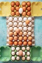 Fresh organic white and brown chicken eggs in recycled cardboard boxes Royalty Free Stock Photo