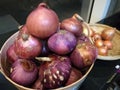 Fresh organic white onion bulbs and red shallot among many onion and shallot background in basket in supermarket Royalty Free Stock Photo