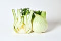 Fresh organic whole and sliced Fennel bulbs Royalty Free Stock Photo