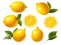 Fresh organic yellow lemon fruit with slice and green leaves isolated on white background. Royalty Free Stock Photo