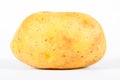 Fresh organic yellow potato vegetable, carbohydrate and starch source yellow potato, isolated on white background Royalty Free Stock Photo