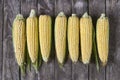 Fresh organic yellow sweet corn on wooden table. Top view Royalty Free Stock Photo