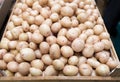 Fresh organic young potatoes for sale at city market. Royalty Free Stock Photo