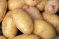 Fresh organic young potatoes sold on market Royalty Free Stock Photo