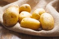 Fresh, organic Yukon Gold potato close up