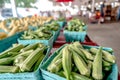 fresh organic zucchini grown at a local farm Royalty Free Stock Photo