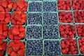 Fresh, organically grown berries