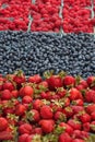 Fresh, organically grown berries