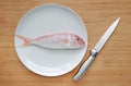 Fresh Ornate threadfin bream on white plate with sharp knife against wooden board background