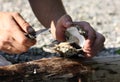 Fresh oyster held open Royalty Free Stock Photo