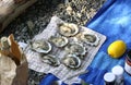 Fresh oyster Royalty Free Stock Photo