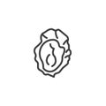 Fresh oyster line icon