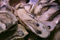 Fresh Oyster in a market stall in Nishiki fish market in Kyoto, Japan. Royalty Free Stock Photo