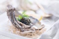 Fresh oysters with black caviar. Opened oysters with black sturgeon caviar. Gourmet food Royalty Free Stock Photo