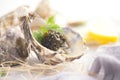 Fresh oysters with black caviar. Opened oysters with black sturgeon caviar and lemon, Gourmet food in restaurant. Delicatessen Royalty Free Stock Photo