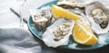 Fresh Oysters close up on blue plate, served table with oysters, lemon and ice. Healthy sea food. Fresh Oyster dinner Royalty Free Stock Photo