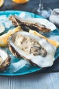 Fresh oysters close-up on blue plate, served table with oysters, lemon and champagne in restaurant Royalty Free Stock Photo