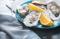 Fresh oysters close-up on blue plate, served table with oysters, lemon and champagne in restaurant Royalty Free Stock Photo