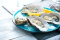 Fresh oysters close-up on blue plate, served table with oysters, lemon and champagne in restaurant Royalty Free Stock Photo