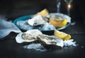 Fresh oysters close-up on blue plate, served table with oysters, lemon and champagne in restaurant Royalty Free Stock Photo