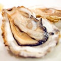 Fresh oysters close-up on a dish, served with oysters, lemon and ice. Healthy seafood. Oyster dinner with champagne in a Royalty Free Stock Photo