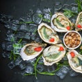 Fresh oysters close-up on a dish, served with oysters, lemon and ice. Healthy seafood. Oyster dinner with champagne in a Royalty Free Stock Photo