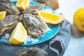 Fresh Oysters closeup on blue plate, served table with oysters, lemon and ice. Healthy sea food. Oyster dinner in restaurant Royalty Free Stock Photo