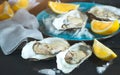 Fresh Oysters closeup on blue plate, served table with oysters, lemon and ice. Healthy sea food. Oyster dinner in restaurant Royalty Free Stock Photo