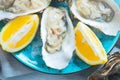 Fresh Oysters closeup on blue plate, served table with oysters, lemon and ice. Healthy sea food. Oyster dinner in restaurant Royalty Free Stock Photo