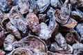 Fresh oysters display on English Market for sale. Cork/Ireland