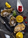 Fresh oysters in ice with lemon, cranberries, glass for wine or champagne, knife over stone table, top view