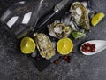 Fresh oysters in ice with lemon, cranberries, glass for wine or champagne, knife over stone table, top view