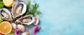 Fresh oysters on ice with lemon and herbs. Horizontal banner with copy space for text, poster, free space Royalty Free Stock Photo