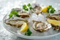 Fresh oysters on ice with lemon and parsley on white background.