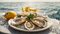 Fresh oysters ice lemon plate, delicatessen of appetizer on a background luxury restaurant of the sea Royalty Free Stock Photo