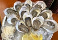 Fresh Oysters on Ice with Lemon Wedges