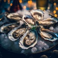 Fresh oysters on ice. Seafood background. Selective focus.