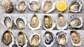 Fresh oysters on ice at seafood restaurant. Ready for eat or serving, Selective focus. Oysters are protein rich and raw